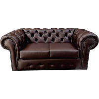 Wayne 2-Seater Elegant Couch