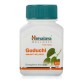 Guduchi - Immunity Wellness by Himalaya (60's)