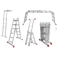 Multiple Purpose Ladder
